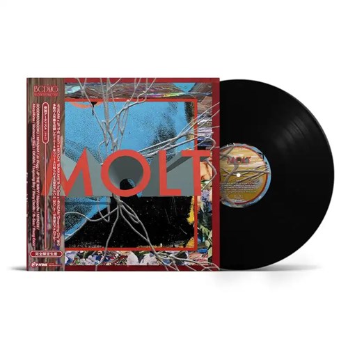 MOLT / MOLT（LP）