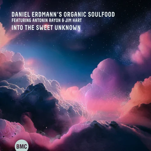DANIEL ERDMANN / ダニエル・エルドマン / INTO THE SWEET UNKNOWN!