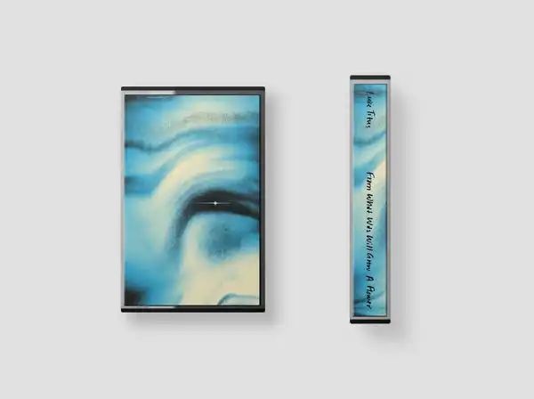 LUKE TITUS / FROM WHAT WAS WILL GROW A FLOWER [CASSETTE]