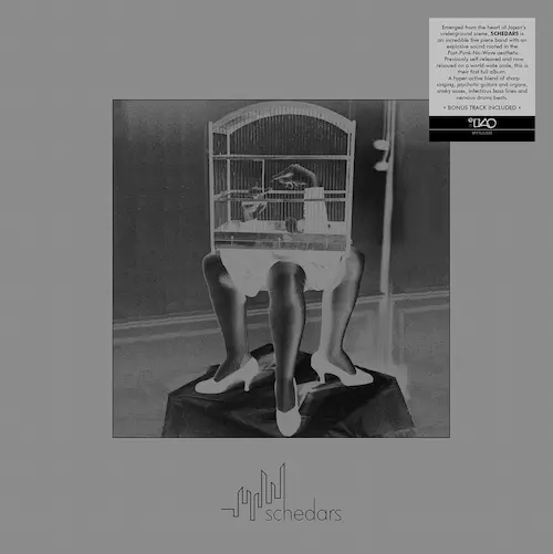 schedars / Schedars (LP)