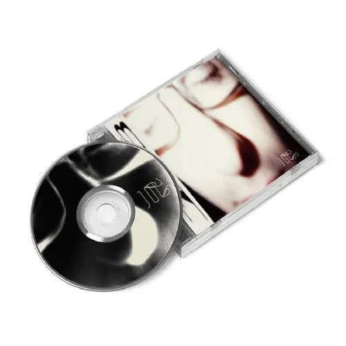 FIB (INDIE) / HEAVY LIFTING (CD)