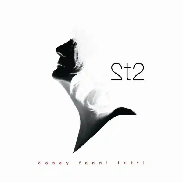 COSEY FANNI TUTTI / コージー・ファニ・トゥッティ / 2t2 [帯･解説付き国内仕様CD]