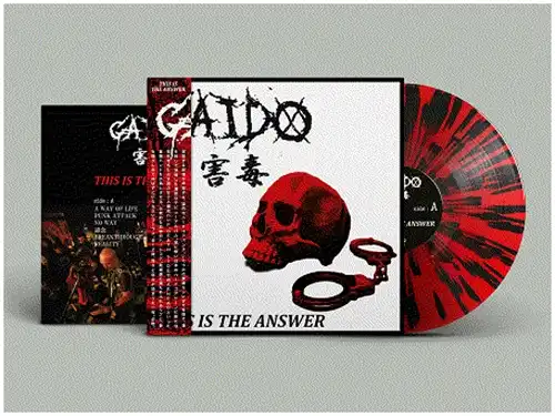 GAIDO / 害毒(GAIDO) / THIS IS THE ANSWER (LP/RED BLACK SPLATTER VINYL)