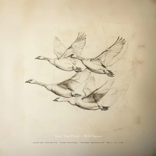 NEAR THE POND / ニアー・ザ・ポンド / WILD GEESE