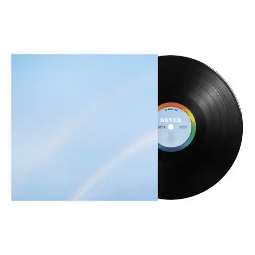 TURNSTILE / ターンスタイル / NEVER ENOUGH [BLACK VINYL]