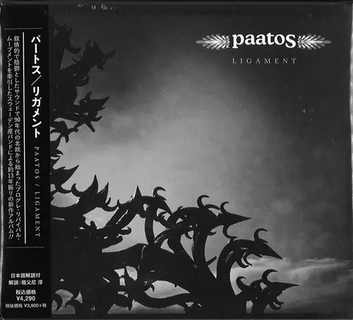 PAATOS / パートス / リガメント / LIGAMENT