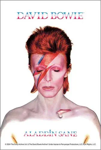 DAVID BOWIE / デヴィッド・ボウイ / ALADIN SANE (120ピース)