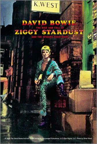 DAVID BOWIE / デヴィッド・ボウイ / ZIGGY STARDUST (120ピース)