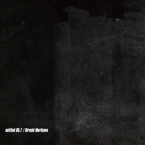 HIROSHI MORIKAWA / UNTITLED 65.7