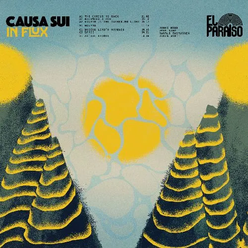 CAUSA SUI / IN FLUX [CD]
