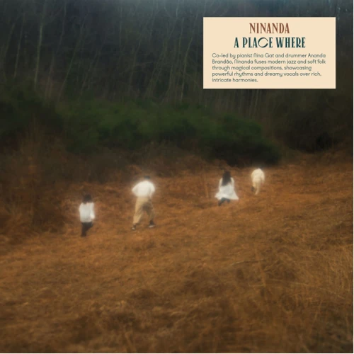 NINANDA / ニナンダ / A PLACE WHERE / PLACE WHERE