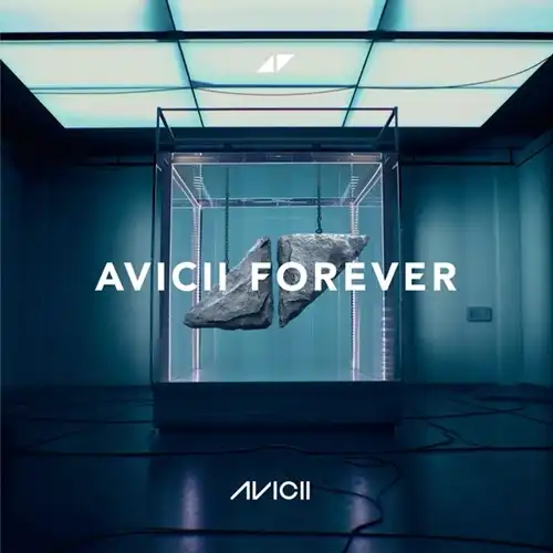 AVICII / アヴィーチー / Avicii Forever (CD)