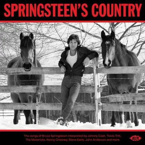 V.A. (BRUCE SPRINGSTEEN) / SPRINGSTEEN'S COUNTRY