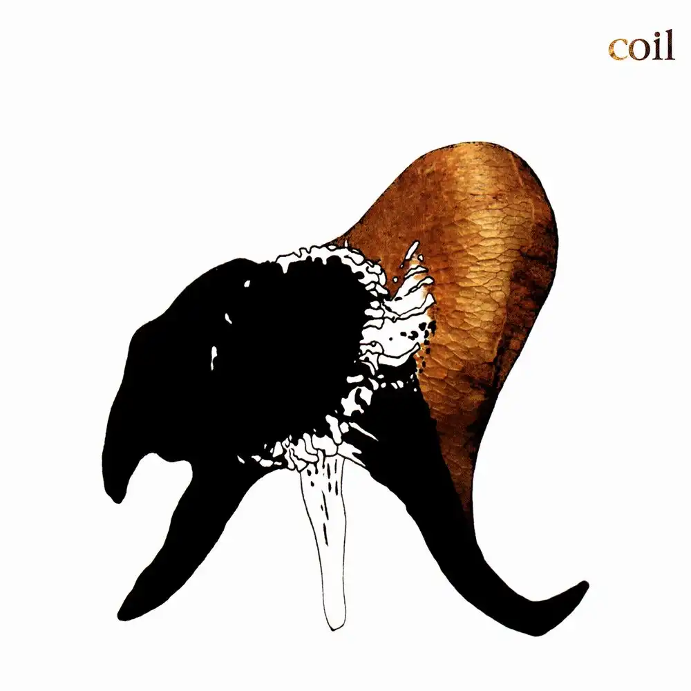COIL / コイル / BLACK ANTLERS [2XLP - BLACK]