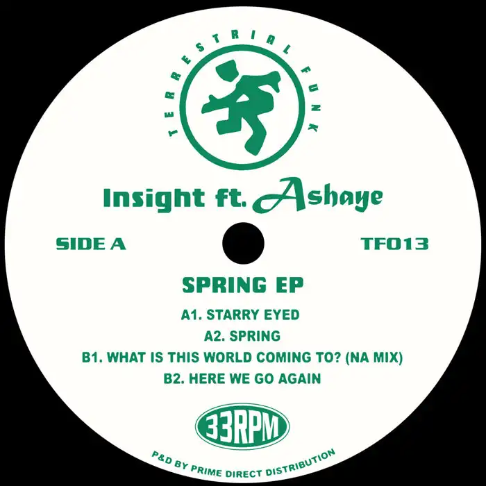 INSIGHT FEATURING ASHAYE / SPRING EP
