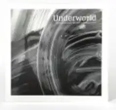 UNDERWORLD / アンダーワールド / Barbara Barbara We Face A Shining Future (Reissue) [LP]
