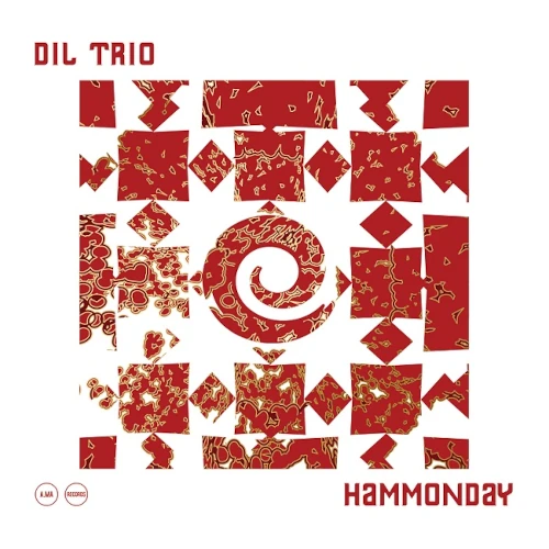 D.I.L ORGAN TRIO / HAMMONDAY