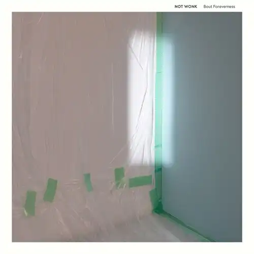 NOT WONK / Bout Foreverness（LP）