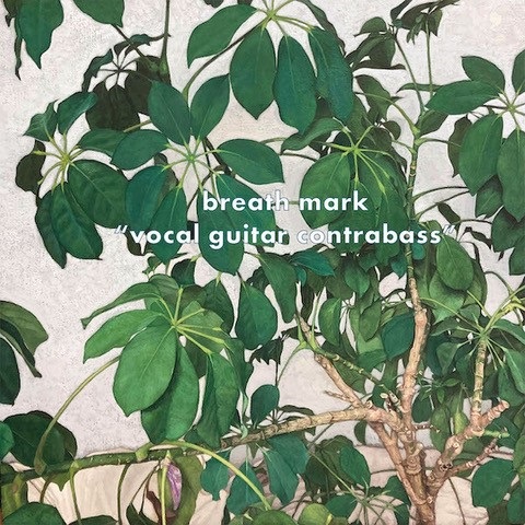Breath Mark / vocal guitar contrabass（LP）