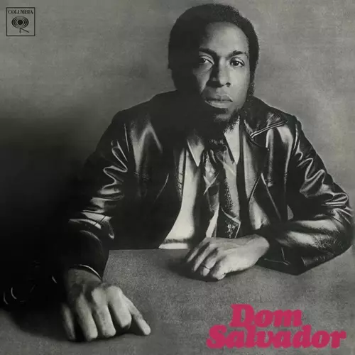 DOM SALVADOR / ドン・サルヴァドール / DOM SALVADOR (SILVER COLOURED VINYL)
