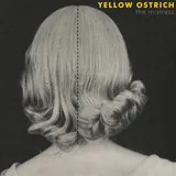 YELLOW OSTRICH / THE MISTRESS
