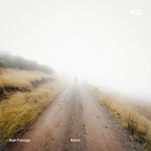 NOAH PREMINGER / ノア・プレミンガー / BALLADS (LP)