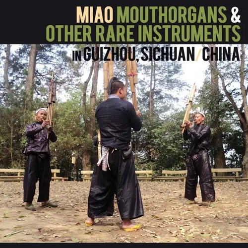 V.A. (MIAO MOUTHORGANS & OTHER RARE INSTRUMENTS IN GUIZHOU, SICHUAN, CHINA) / オムニバス / MIAO MOUTHORGANS & OTHER RARE INSTRUMENTS IN GUIZHOU, SICHUAN, CHINA