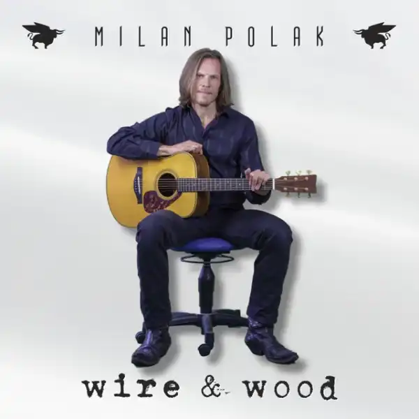 MILAN POLAK / WIRE & WOOD
