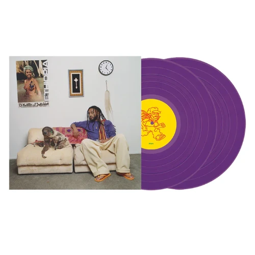 Amine / 13 MONTHS OF SUNSHINE (2LP) (PURPLE VINYL)