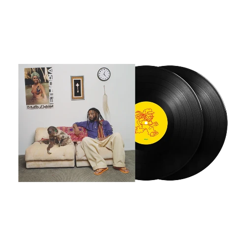 Amine / 13 MONTHS OF SUNSHINE (2LP) (BLACK VINYL)