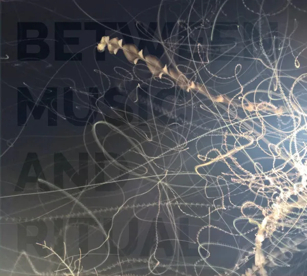 V.A. / BETWEEN MUSIC AND RITUAL