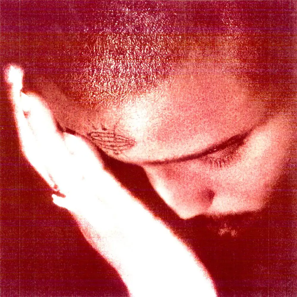 NOURISHED BY TIME / ザパッショネイトワンズ / THE PASSIONATE ONES