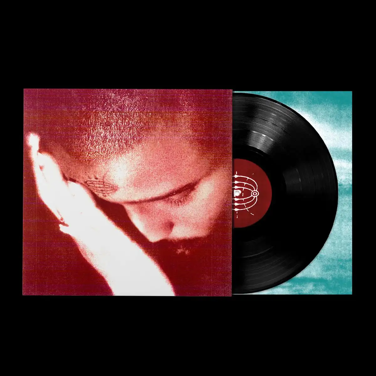 NOURISHED BY TIME / THE PASSIONATE ONES (LP)