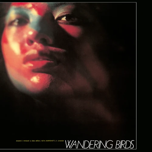 JIRO INAGAKI & HIS SOUL MEDIA / 稲垣次郎とソウル・メディア / 女友達(LP/CLEAR PURPLE VINYL) / WANDERING BIRDS