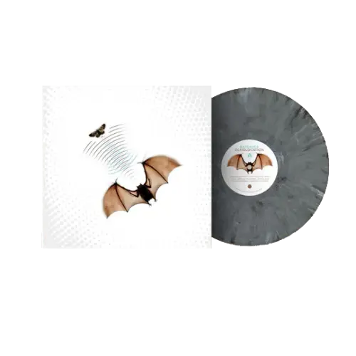 BATSAUCE / ECHOLOCATION (LP)