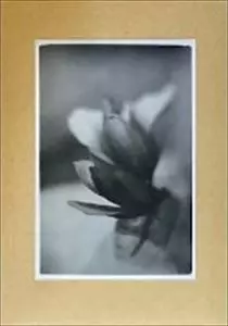 NAOKI ZUSHI / 頭士奈生樹 / FOR MY FRIENDS' SLEEP+CASSETTE
