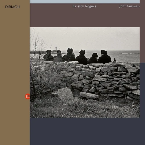 JOHN SURMAN / ジョン・サーマン / DIRIAOU