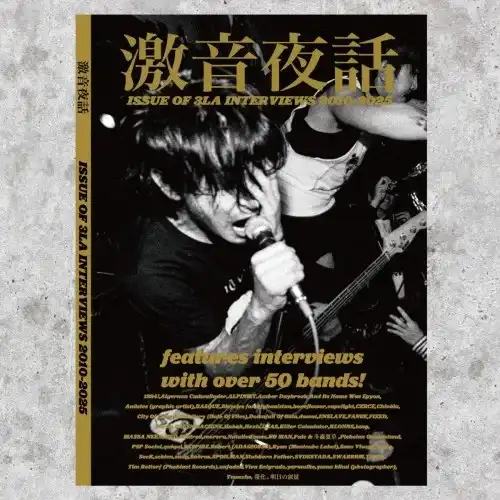 V.A. (3LA -LongLegsLongArms-) / 激音夜話ZINE - "3LAインタビュー傑作選 2010~2025"