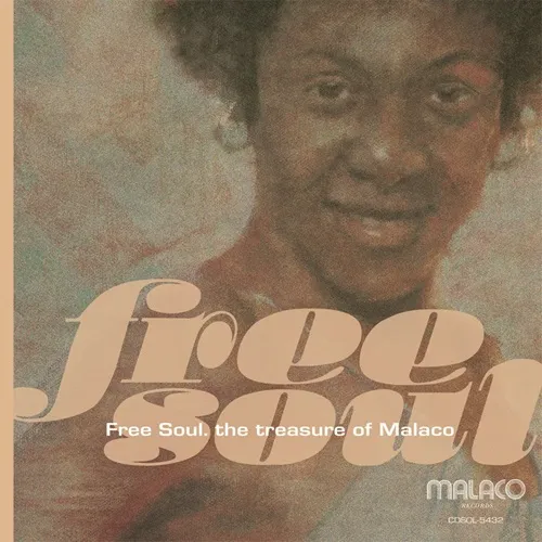 V.A. (FREE SOUL) / オムニバス (FREE SOUL) / フリー･ソウル･トレジャー･オブ･マラコ / FREE SOUL: TREASURE OF MALACO