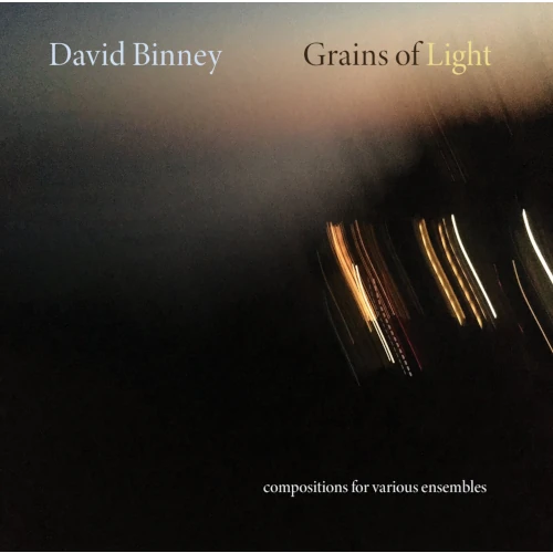 DAVID BINNEY / デヴィッド・ビニー / GRAINS OF LIGHT