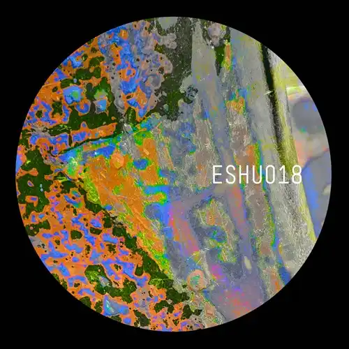 ARUM(TECHNO) / GUUS