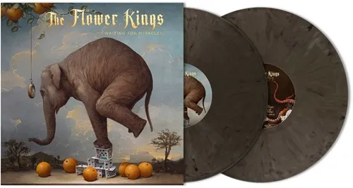 THE FLOWER KINGS / ザ・フラワー・キングス / WAITING FOR MIRACLES: LIMITED BLADE BULLET COLOR 180g DOUBLE VINYL