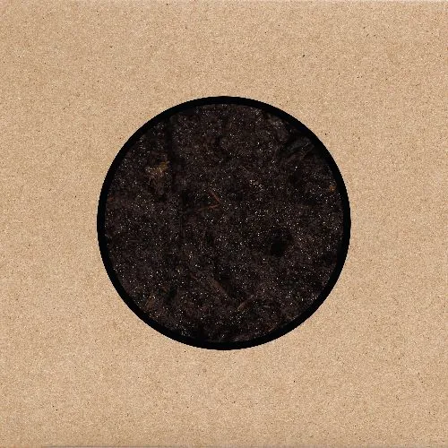 SWANS / スワンズ / BIRTHING (3LP)