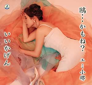 EMI KOSAKAI / エミ小堺 / 鴎･･･かもね？