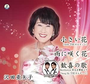 AYAKO SAWADA / 沢田亜矢子 / 小さい花