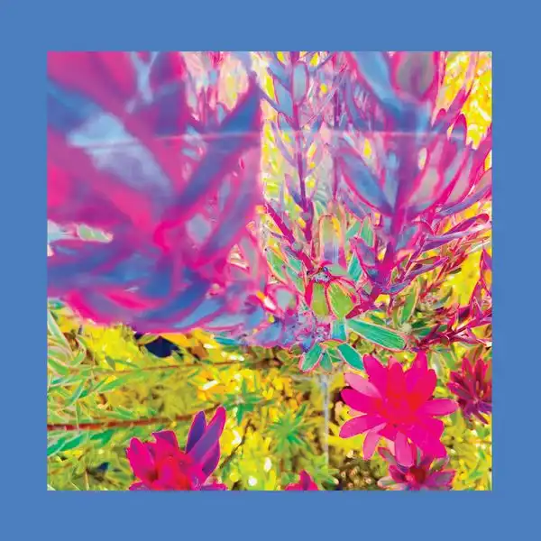 REDS, PINKS AND PURPLES / THE PAST IS A GARDEN I NEVER FED [LP]