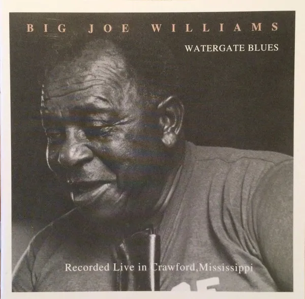 BIG JOE WILLIAMS / WATERGATE BLUES