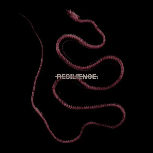 THROATCUT / RESILIENCE