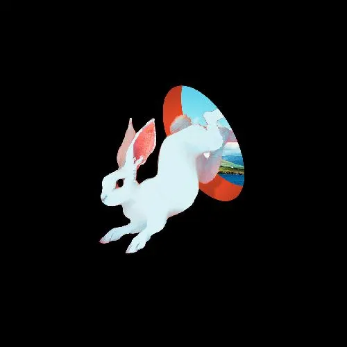 GANSER / ANIMAL HOSPITAL (LP - FUTURE BLUE)