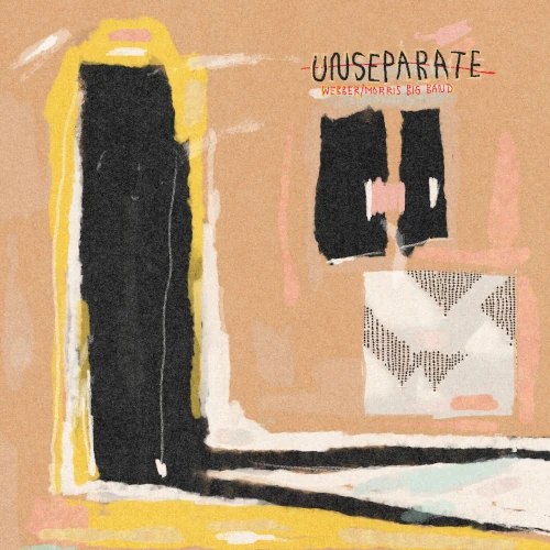 ANNA WEBBER / アンナ・ウェバー / UNSEPARATE (LP)